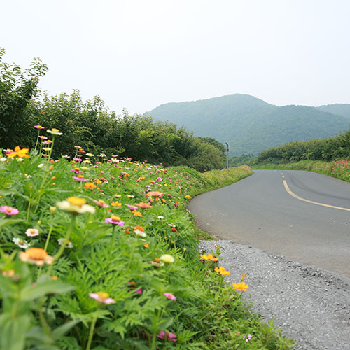 Caoshan Beautiful Scenery